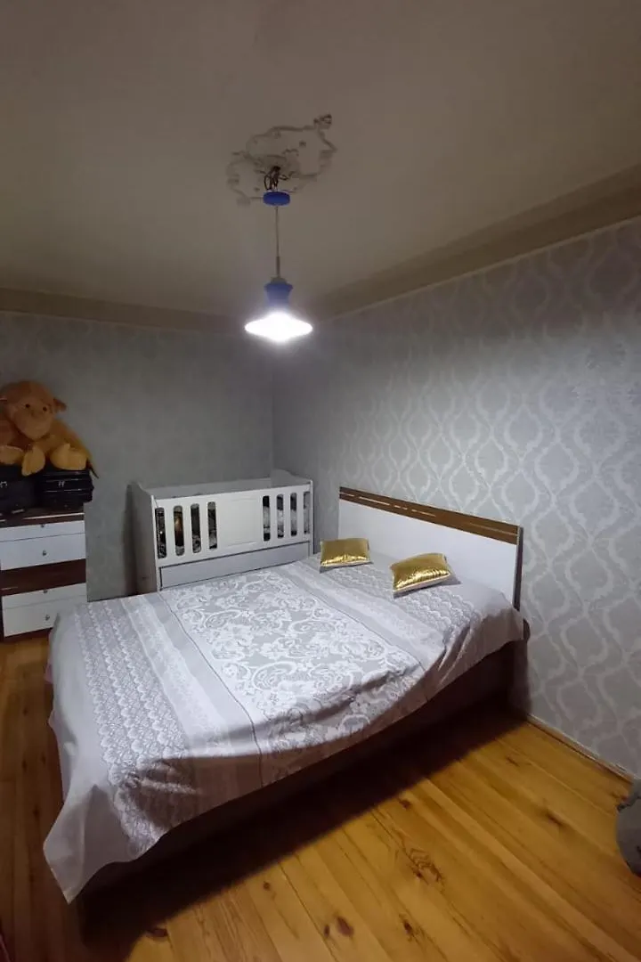 Best Apartment With Garden In Baky